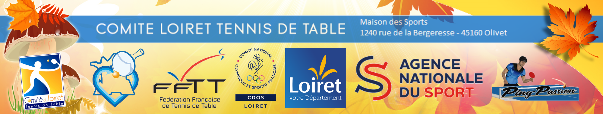 Comité du Loiret de Tennis de Table