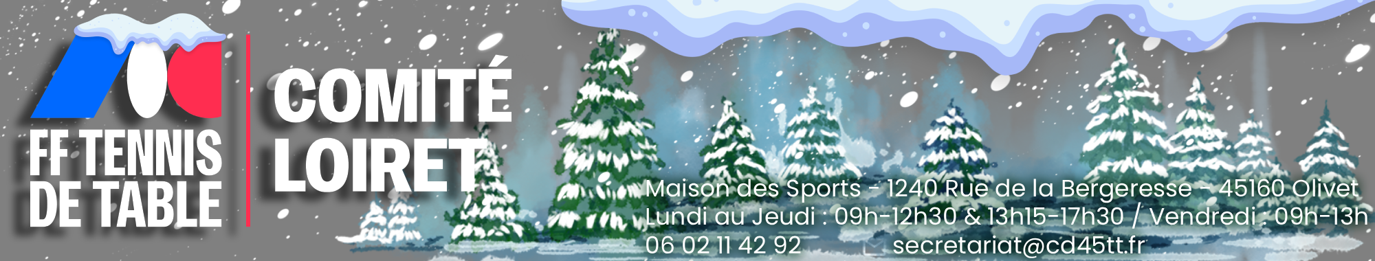 Comité du Loiret de Tennis de Table